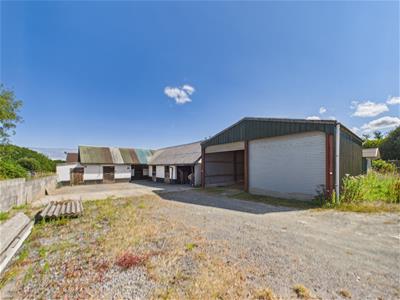 Picture 30